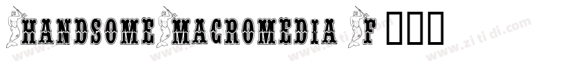 HandsomeMacromedia F字体转换